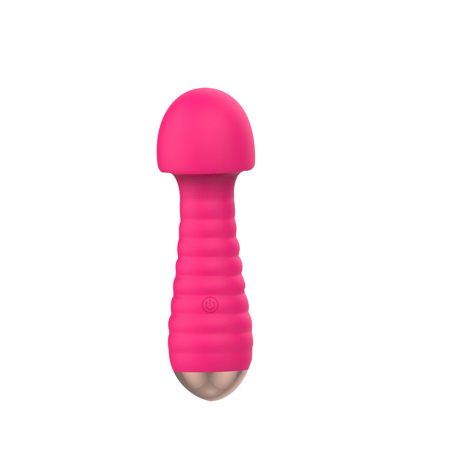 Powerful Mini Sex Vibrator Sex Toy for Women