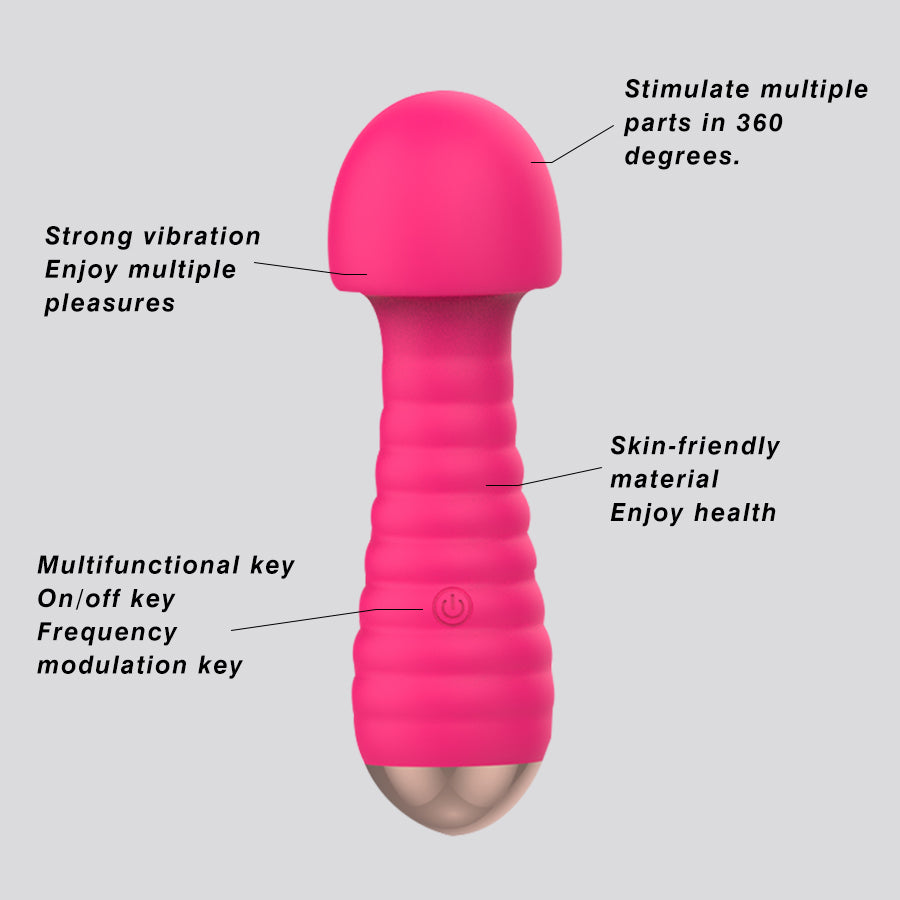 Powerful Mini Sex Vibrator Sex Toy for Women