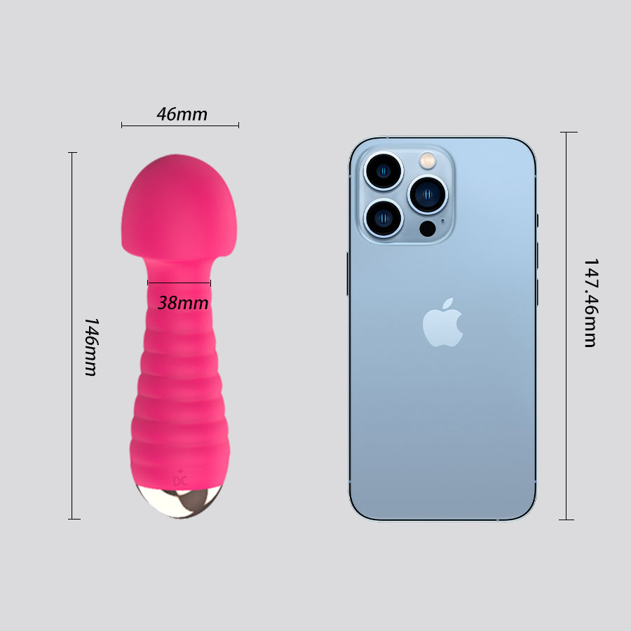 Powerful Mini Sex Vibrator Sex Toy for Women