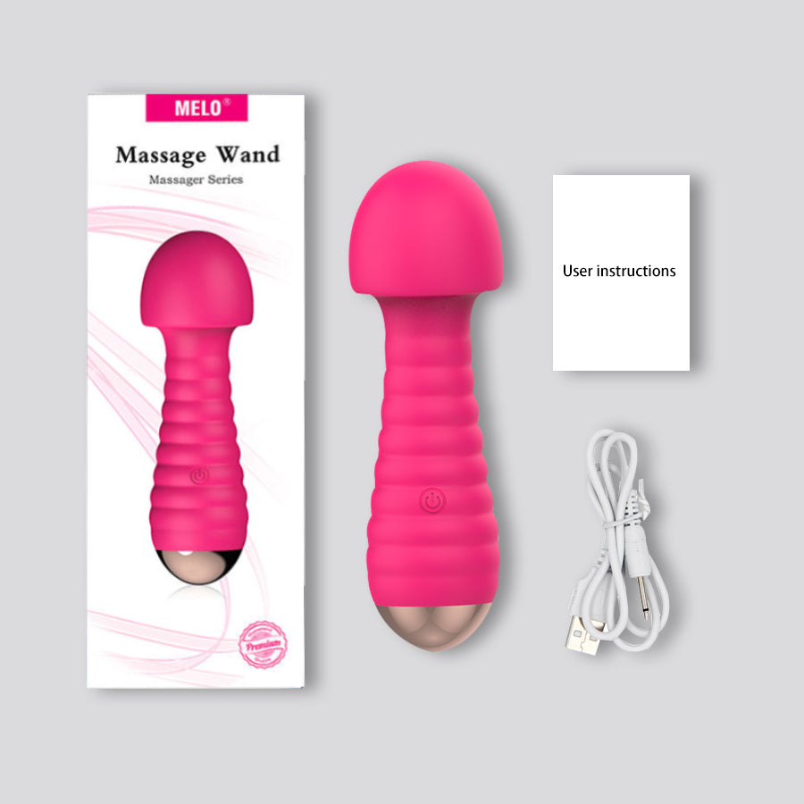 Powerful Mini Sex Vibrator Sex Toy for Women