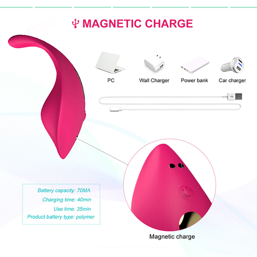 Wearable Panty G-spot Vibrator Dildo Silicone Vibrating Panties Vaginal Adult Sex Toys for Women and Couple