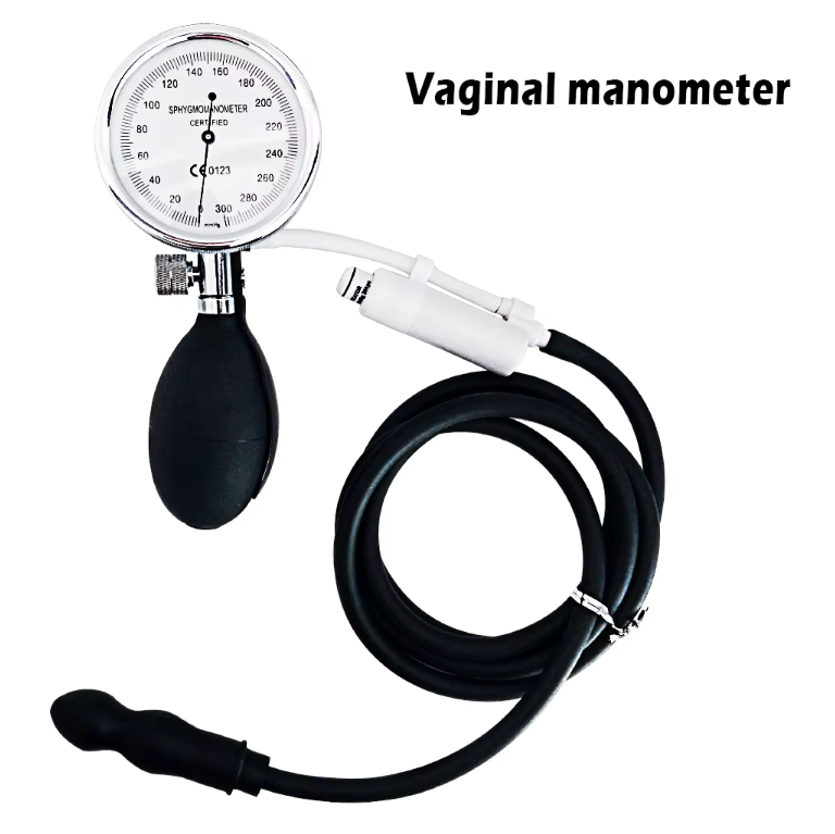 Factory Hot Sale Vagina Manometer Pressure Test Gauge Inspection Gauge Products Ball Bars Postpartum Vaginal Recovery Trainer